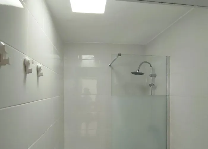 My Little Palm-mar