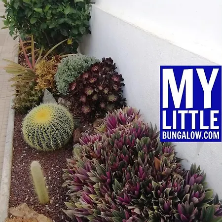 My Little 펜션