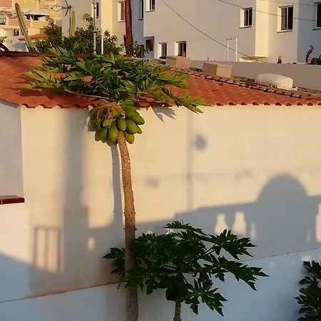 My Little Ferienhaus Palm-mar